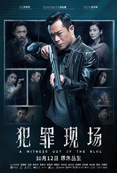Неожиданный свидетель (2019)